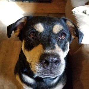 Meet your Posher, Peggy